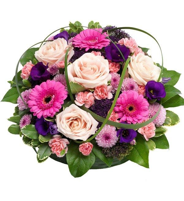 Posy Pink & Purple