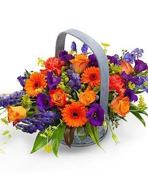 Basket Vibrant