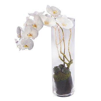 Orchid Vase Arrangement