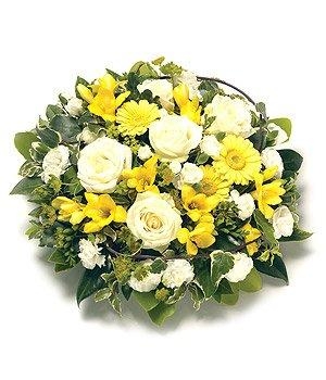 Posy Yellow & Cream