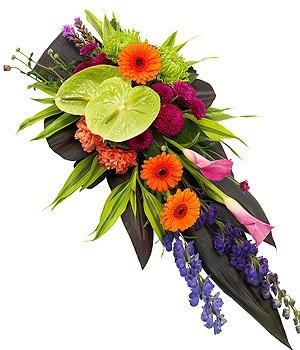 Single Ended Spray Vibrant Contemporary