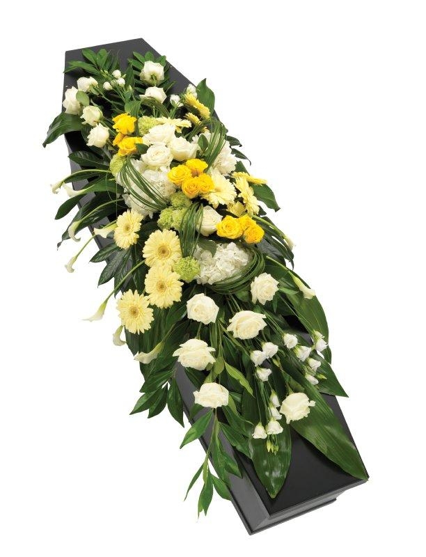 Coffin Spray Shining Light