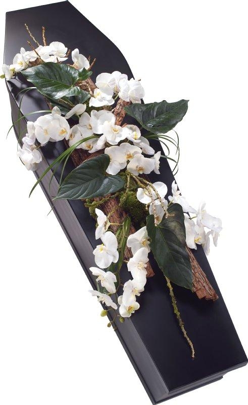 Coffin Spray Woodland Orchid