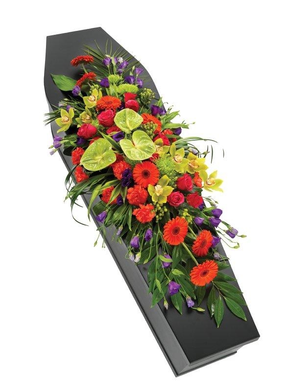 Coffin Spray Tropical