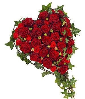 Heart Red Rose