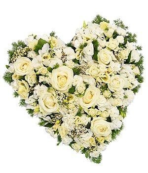 Heart White Rose