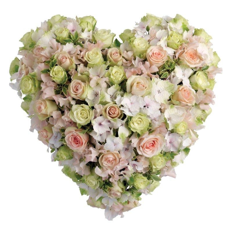 Heart Soft Pastel