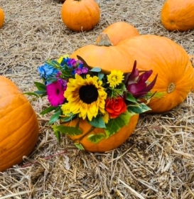 Floral Pumpkin Arrangement 26th October